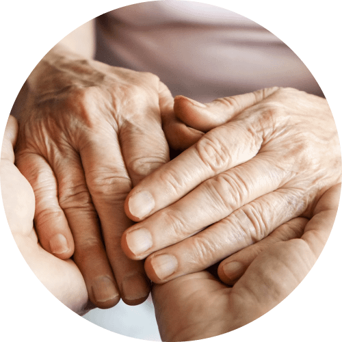 Professional In-Home Care Services in AREA3, Home Care West Bloomfield MI