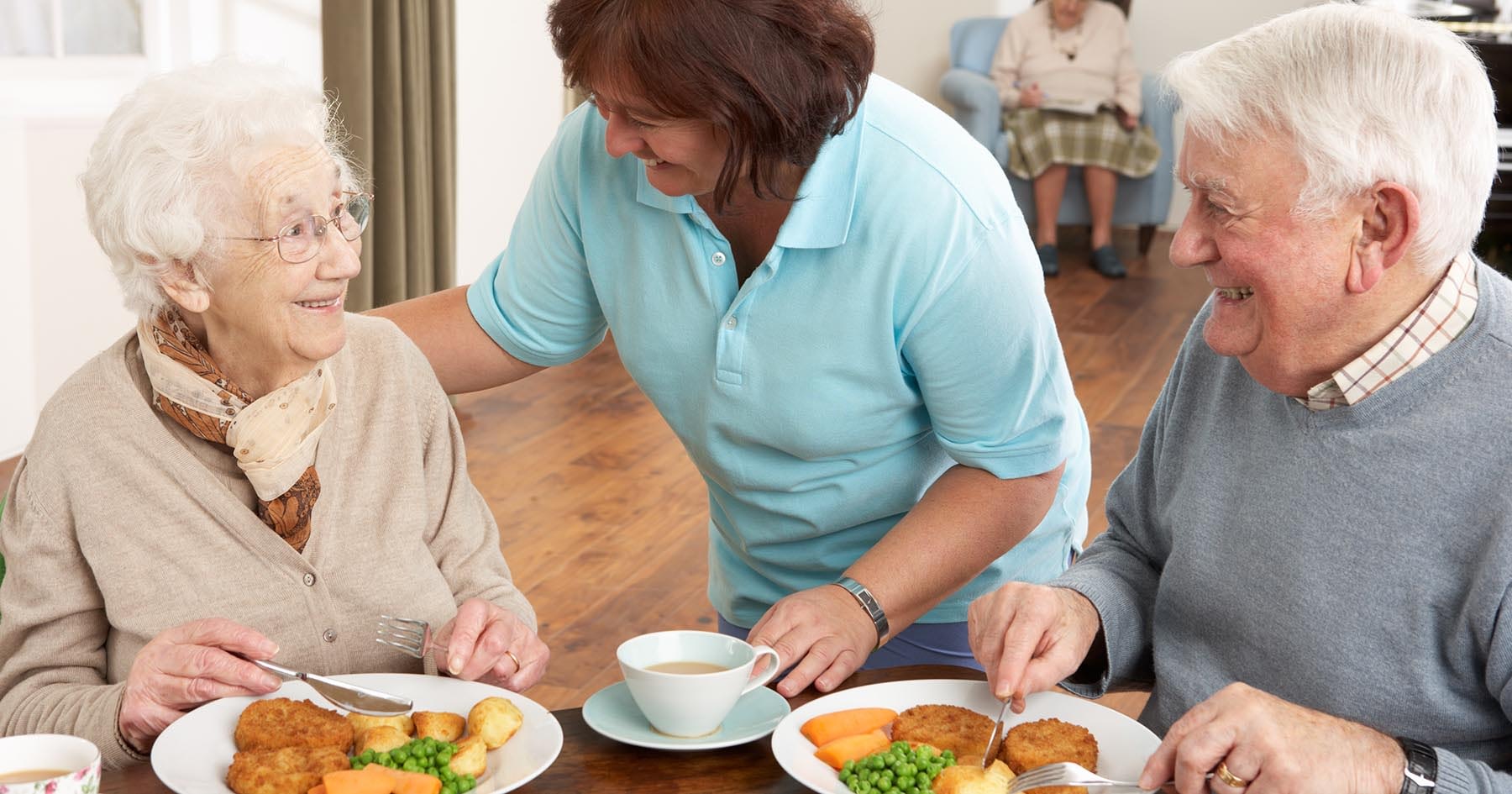 Read more about the article Companion In-Home Caregivers Provide A Lasting Care